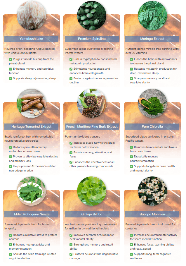 Pineal Guardian X ingredients including chaga mushroom ginkgo biloba bacopa monnieri and pine bark extract