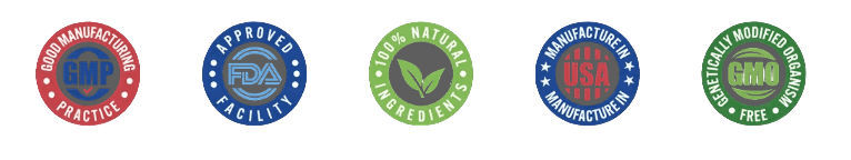 United States manufacturing and quality compliance icon